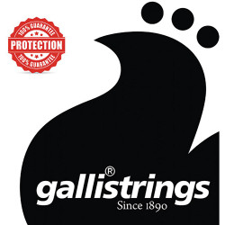 Galli PL015 LE Plain Loop End String .015