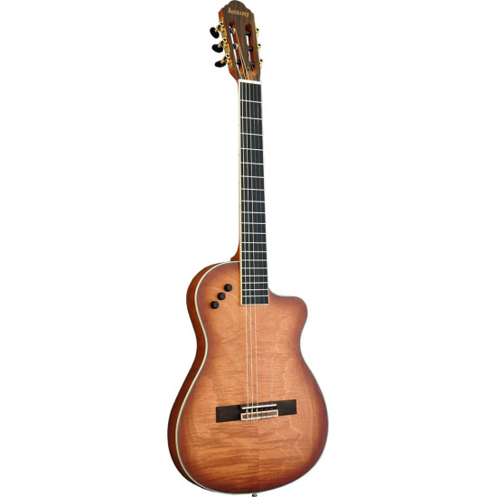 Ashbury AGC-333EC Electro Classical Guitar