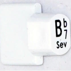 Ashbury Replacement Bb7 Autoharp Key