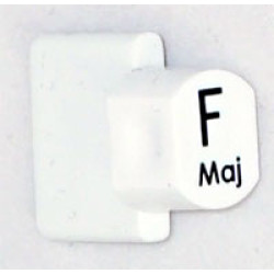 Ashbury Replacement F Autoharp Key