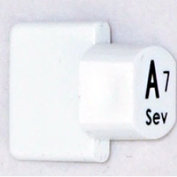 Ashbury Replacement A7 Autoharp Key