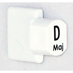 Ashbury Replacement D Autoharp Key