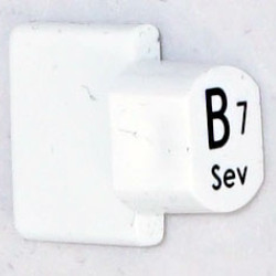 Ashbury Replacement B7 Autoharp Key