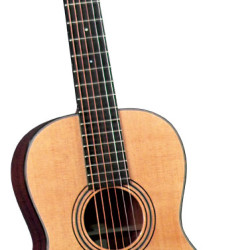 Blueridge BR-341 Parlour Acoustic Guitar