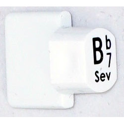 Ashbury Replacement Bb7 Autoharp Key