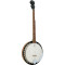 Ashbury AB-35-5L 5 String Banjo, Left Handed