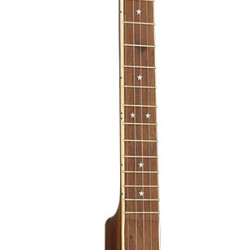 Ashbury AB-85-5 5 String Banjo, Walnut Rim