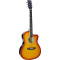 Blue Moon BG-15 Small Body Guitar, Cutaway, S/B