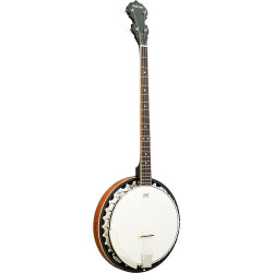 Ashbury AB-35-P Plectrum Banjo, Mahogany Reso