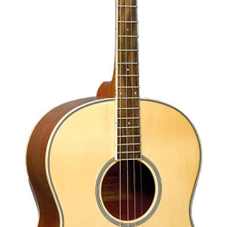 Ashbury Tenor Guitar, Spruce Top GDAE