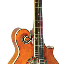 Ashbury AM-370 F Style Mandolin, Oval Soundhol