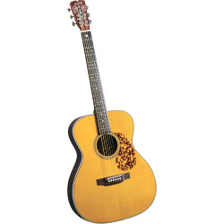 Blueridge BR-163 000 Acoustic Guitar