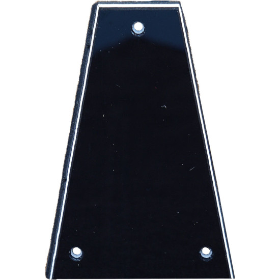 Viking VS-305-TR3 Truss Rod Cover, Style 3