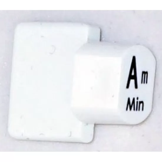 Ashbury Autoharp Key, Am